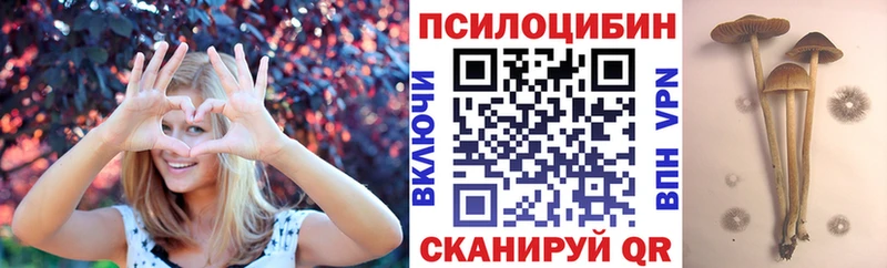 Псилоцибиновые грибы Magic Shrooms  Березники 